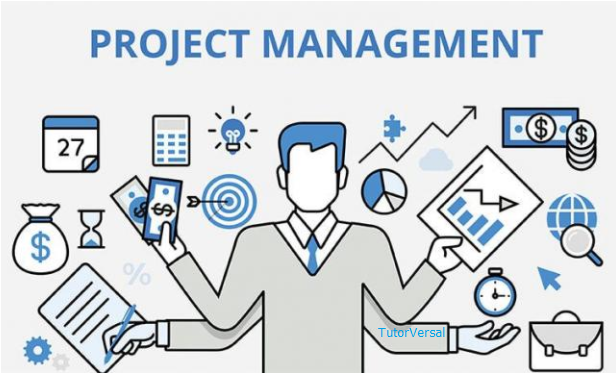 BSBPMG520 Project Governance Management Assignment Answers