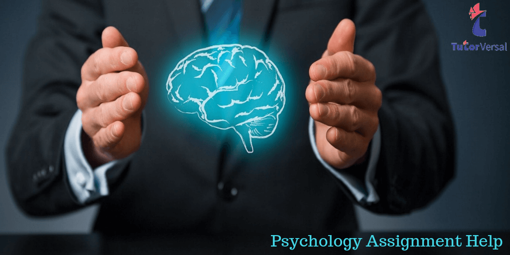 Know About Freuds’ Theory with Our Psychology Assignment Help Experts