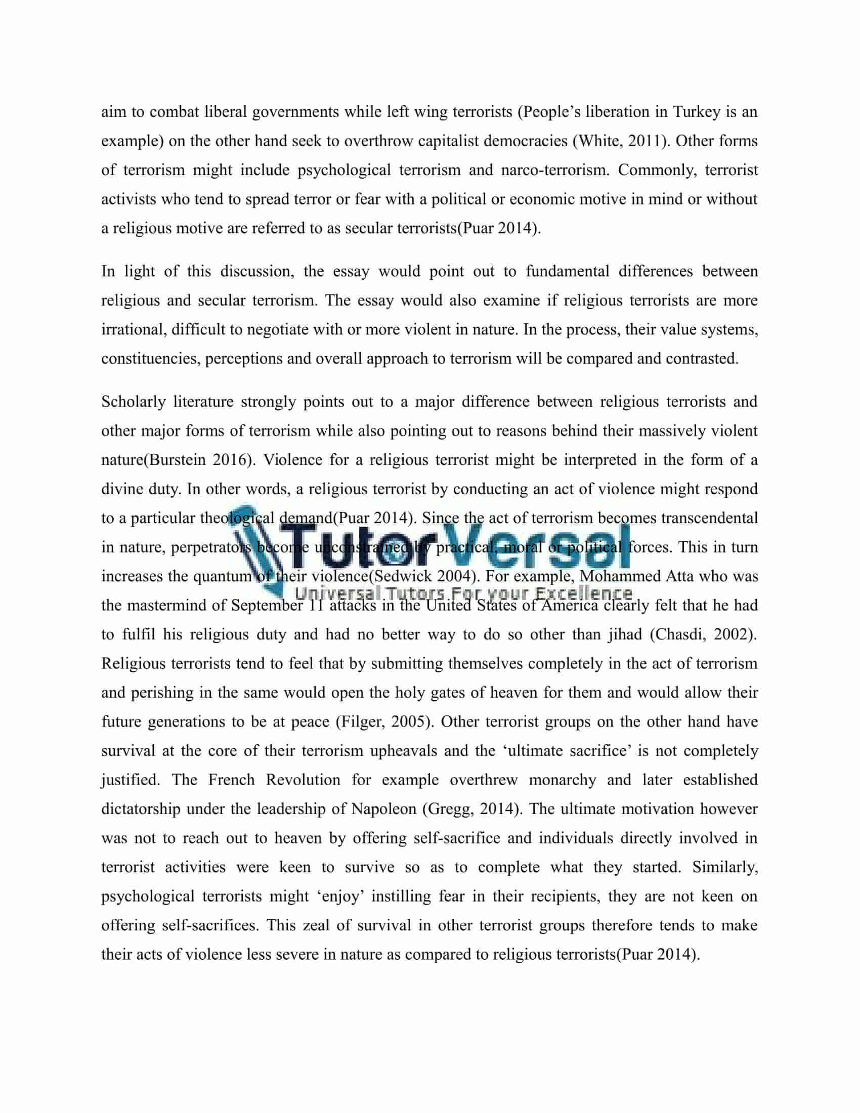 essay assignment sample