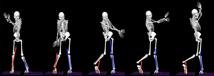 Biomechanics Assignment Services