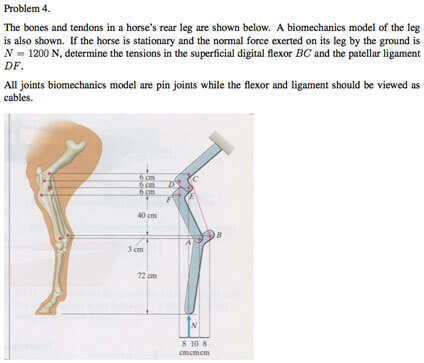 Biomechanics Assignment Help Questions