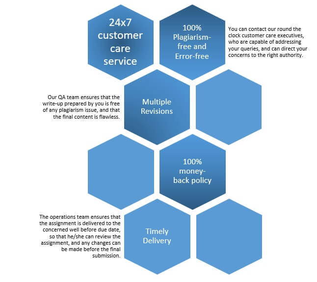 Report Writing Services Assignment Help Company