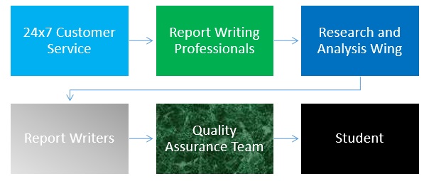 Need Report Writing Services