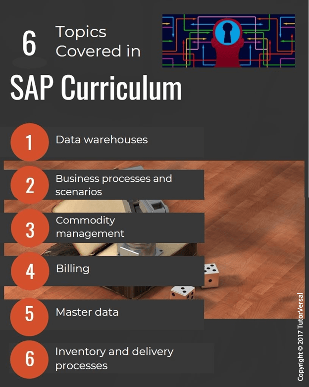 SAP Accounting Assignment Help